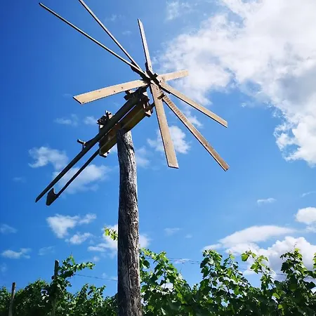 Alojamento de Turismo Rural Bauernhof Kure *