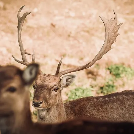 Lantgård Bauernhof Kure