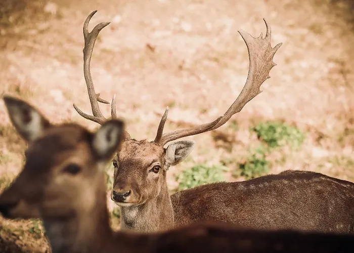 Lantgård Bauernhof Kure