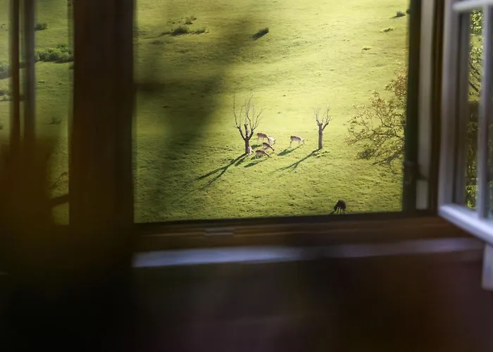 Bauernhof Kure Lantgård